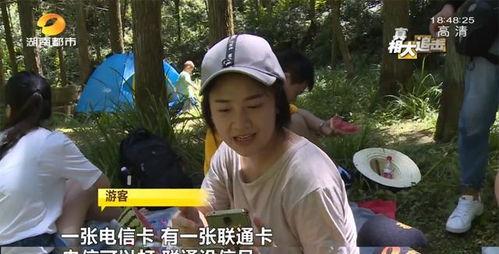 网红乐仔吃瓜视频,揭秘网红圈幕后故事  第3张