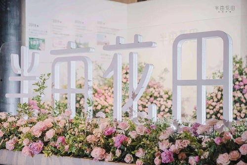 爆料半亩花田视频大全集,揭秘美丽秘诀与护肤心得